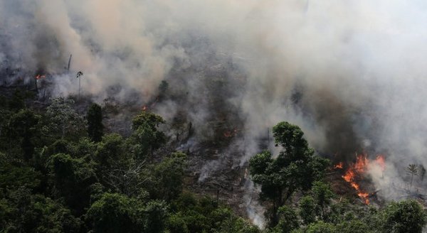 Gobierno de Bolsonaro rechazó la ayuda del G7 para combatir los incendios en el Amazonas - ADN Paraguayo