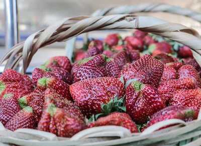 Productoras de frutillas harán feria este martes y viernes | .::Agencia IP::.