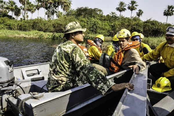 “Solo humaredas” en Estación Biológica Tres Gigantes