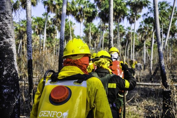 Así combatimos el incendio en el Chaco | Noticias Paraguay