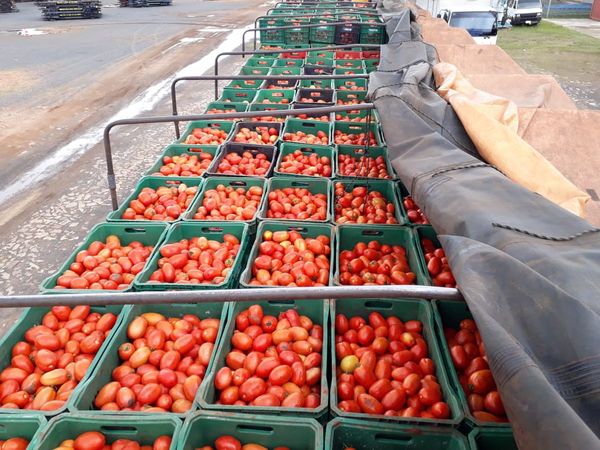 Operativo Barrera: incautan unos 82.000 kilos de productos frutihortícolas