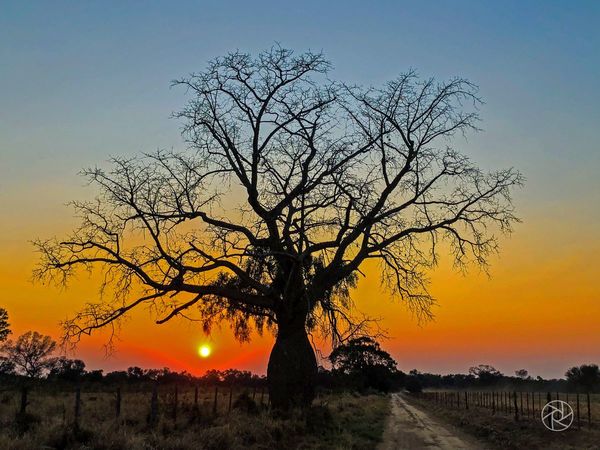 Postales del Chaco