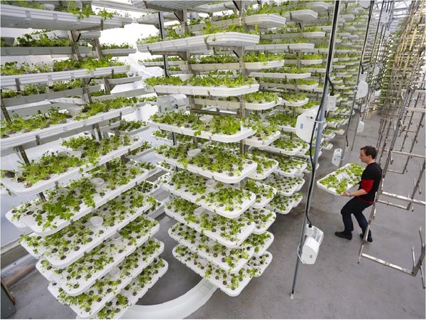 NASA: Fincas verticales serán el futuro para suplir alimentos en A. Latina