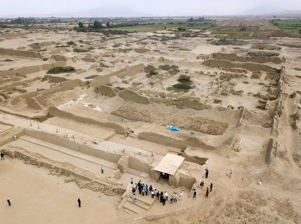 Arqueólogos de Perú hallan 227 restos de niños sacrificados - Ciencia - ABC Color