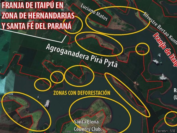 Ganaderas deforestaron bosques de la Itaipú con y sin su autorización