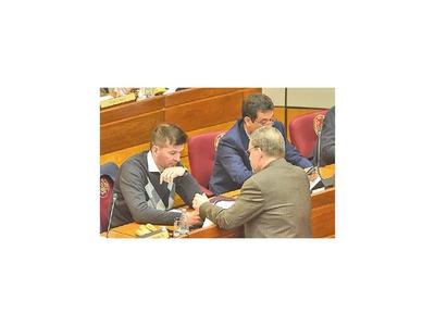 Senador abdista cuestiona que Mami Roa dirija Conatel