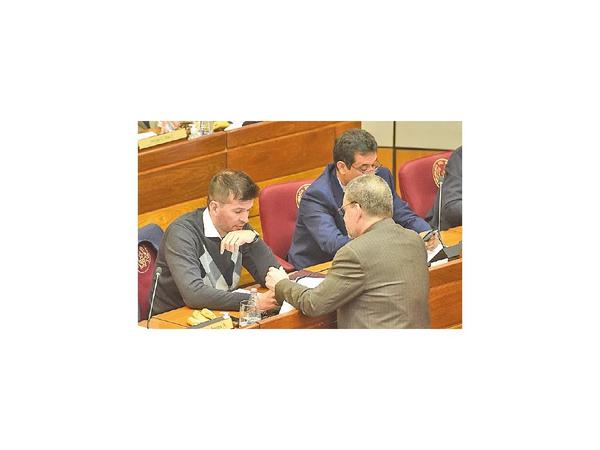 Senador abdista cuestiona que Mami Roa dirija Conatel