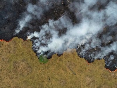 Bolsonaro busca una solución para los incendios y censura a Francia