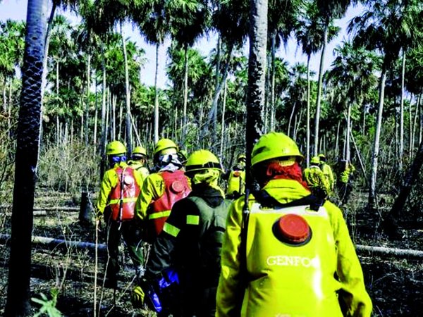 Presidente chileno visitará zona afectada por  el fuego