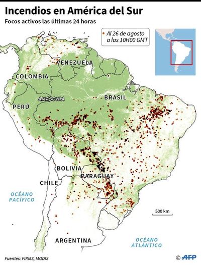 Lluvia aplaca parte de incendios en Pantanal - Internacionales - ABC Color