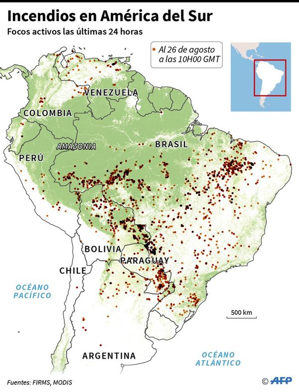 Lluvia aplaca parte de incendios en Pantanal - Internacionales - ABC Color