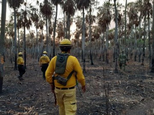 Lluvia alivió situación en el Chaco y autoridades confían en aplacar incendios » Ñanduti