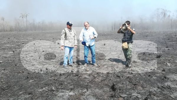 “Parece un campo en donde explotó una bomba” - Digital Misiones