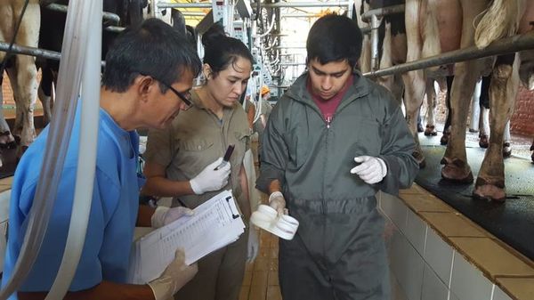 Profesionales con plan para la ganadería y  salud pública - ABC Rural - ABC Color