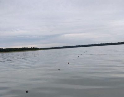 Denuncian pesca indiscriminada en Lago Itaipú