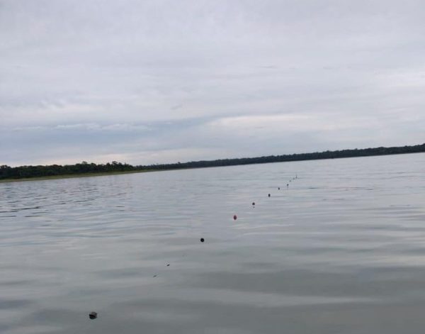 Denuncian pesca indiscriminada en Lago Itaipú