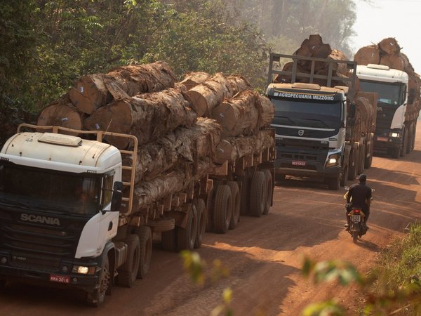 Incendios en la Amazonía amenazan a pueblos indígenas aislados