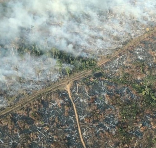 10 impactantes imágenes del incendio en el Amazonas