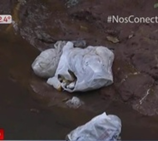 Denuncian grave contaminación de arroyo en San Lorenzo - Paraguay.com