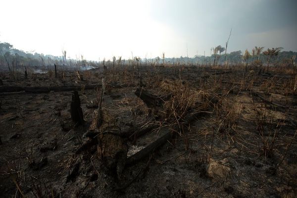 Brasil y Chile convocan a países amazónicos contra incendios, sin Venezuela - Mundo - ABC Color