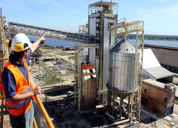 Aceiteras emplearon el 78% de capacidad