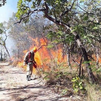 EE.UU. dice ahora que no apoya la ayuda del G7 a Brasil por la Amazonía | .::Agencia IP::.