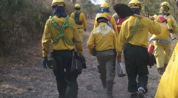 Por tierra y aire siguen combatiendo seis focos de incendio en el Chaco