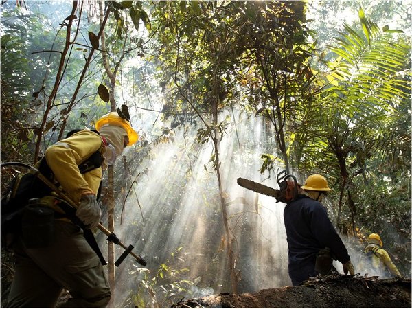 Brasil prohíbe uso de fuego para preparar siembra en Amazonía