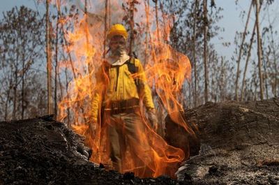 Brasil prohíbe por 60 días el uso de fuego para preparar siembra en Amazonía - Mundo - ABC Color