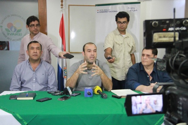 Senave desmiente que exista desabastecimiento de papa y cebolla en el mercado interno | .::Agencia IP::.