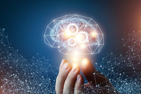 Buscan expandir conocimientos sobre neurociencia