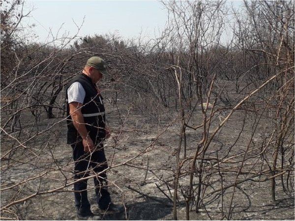 Fiscalía abre investigación por incendios forestales en Pantanal