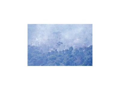 Brasil prohíbe quemas y  ONU propone cumbre sobre la Amazonia