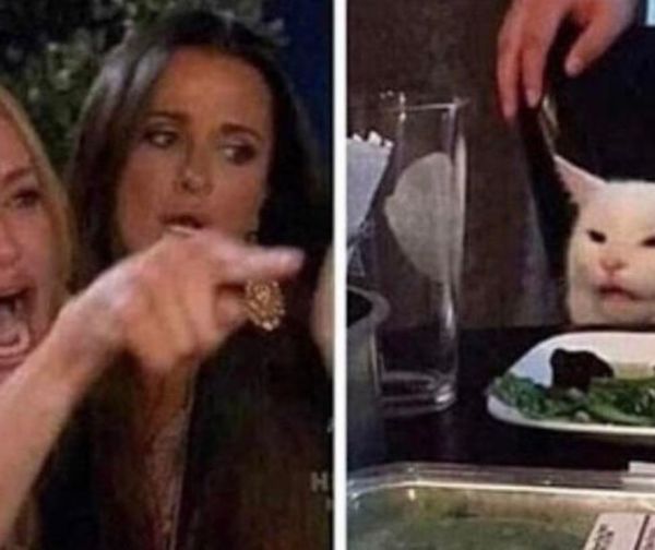 Conoce el origen del meme del gato en la mesa y la mujer gritando.