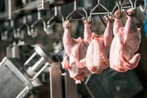 Sector avícola mantiene ritmo pese a recesión