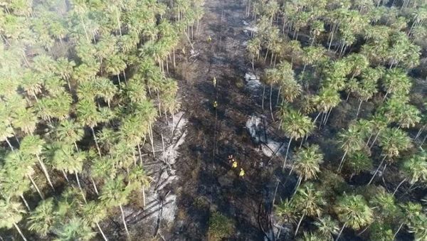 Recurrirán a imágenes satelitales para investigar origen de fuego - Digital Misiones