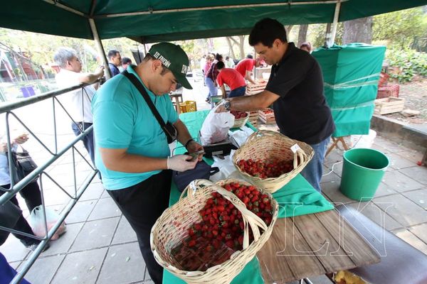 Feria de productos hortigranjeros frente a la ANDE