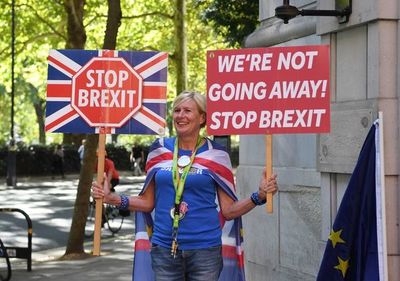 Johnson se apunta una victoria judicial y advierte contra un bloqueo del Brexit - Mundo - ABC Color
