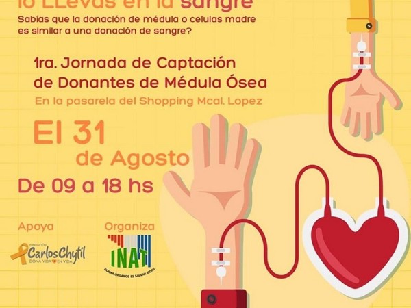 Médula ósea: jornada de captación de donantes