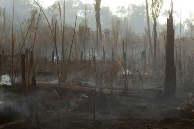 Brasil carga contra “ideas raras” de internacionalizar la Amazonia - Mundo - ABC Color