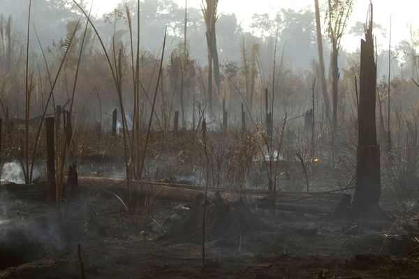 Brasil carga contra “ideas raras” de internacionalizar la Amazonia - Mundo - ABC Color