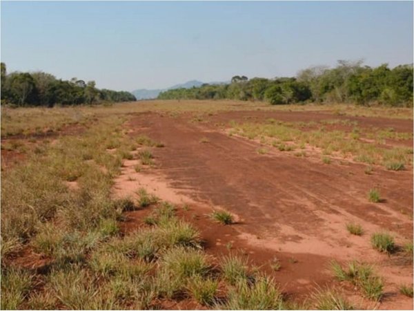 Piden investigar cultivos ilegales y deforestación en áreas protegidas