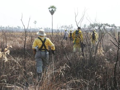 Bahía Negra: Fuego  ya afectó más de 61.000 ha.  y continúa  amenaza
