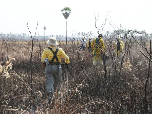 Bahía Negra: Fuego ya afectó más de 61.000 ha. y continúa amenaza