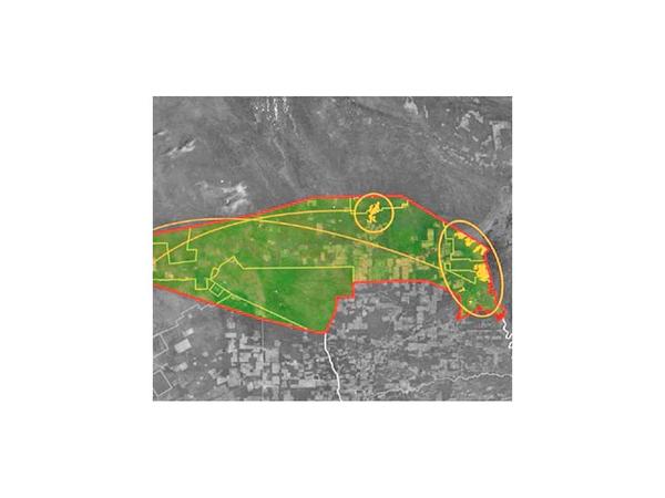 Reforestación contra efectos de incendios