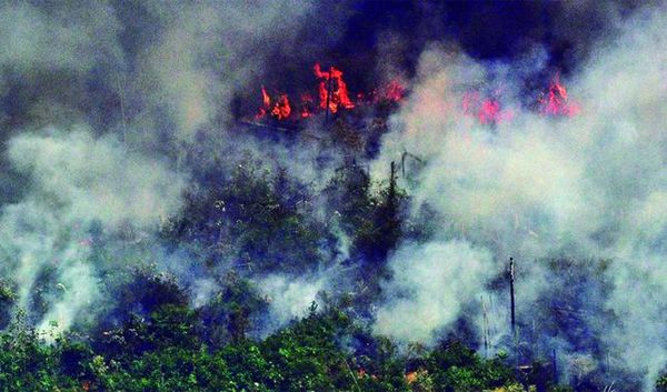 Finlandia propone prohibir la importación de carne brasileña por la quema del Amazonas