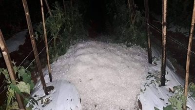 GRANIZADA CAUSÓ DESTROZOS EN SAN COSME, CNEL. BOGADO Y GRAL. DELGADO
