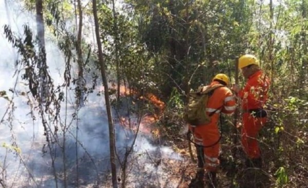 Más de 61.000 hectáreas ya fueron consumidas por el fuego en el Chaco