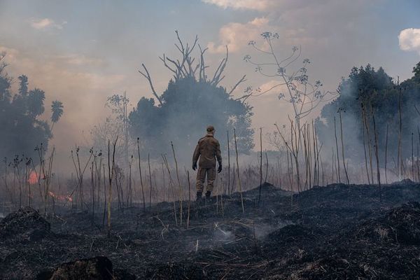 Incendios en Brasil continúan en aumento a pesar de prohibición - Mundo - ABC Color