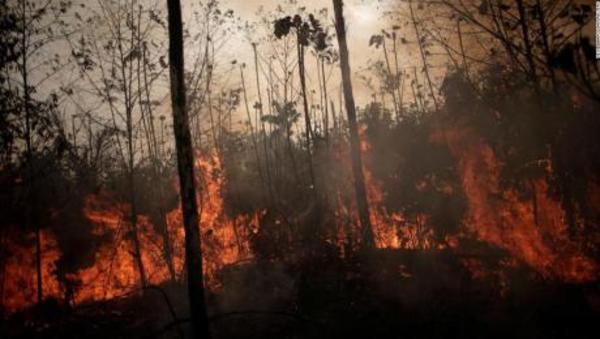 ATP lanza una campaña ambiental que pretende involucrar a todo el Paraguay » Ñanduti